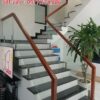 Cầu Thang Kính Đẹp Tay Vịn Gỗ.Lan Can Cầu Thang Kính Cường Lực Cầu Thang Kính Đẹp Tay Vịn Gỗ.Lan Can Cầu Thang Kính Cường Lực